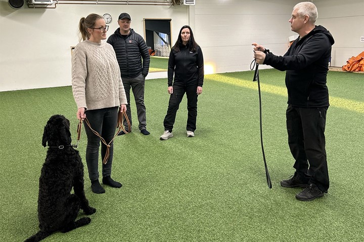 Karin Wandrell - Att mo¨ta kra¨vande hundars behov