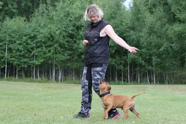 Backa i rallylydnaden + Fotograf Anna Larsson 3vallare1