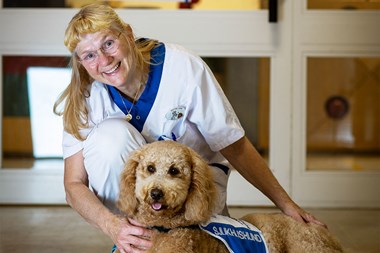 Sjukhushundar® – lika effektiva somla¨kemedel + Fotograf Helen Wolgers3