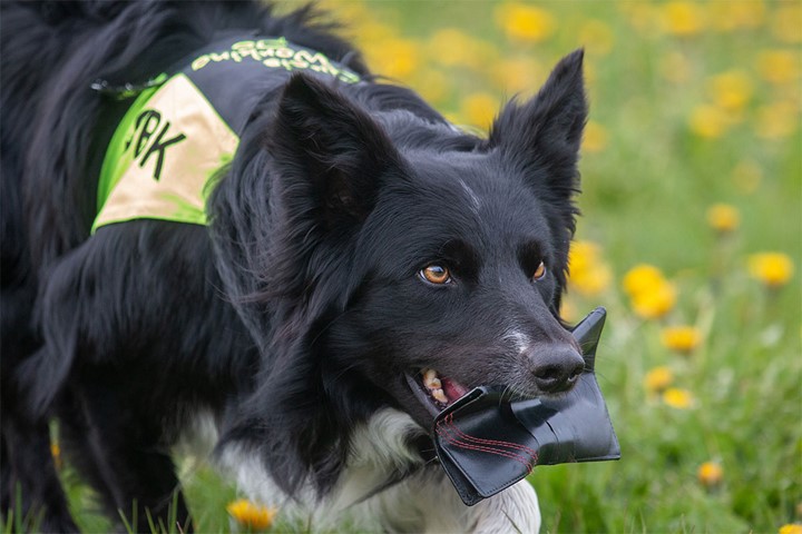 Utso¨kt gla¨dje i varje so¨ktra¨ning + Fotograf Privat1