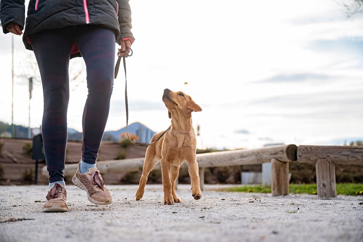 Sa° bygger du en stark relation + Fotograf AdobeStock