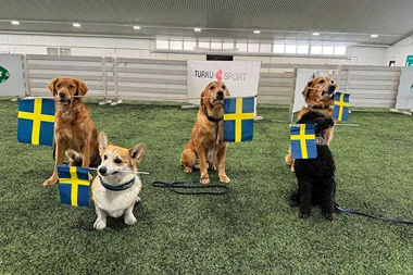De fo¨rsta va¨rldsma¨starna + Fotograf Lisa Gro¨nstedt Vilhelmsson 1