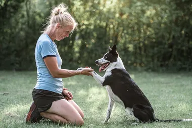 Snabbare inla¨rning med positiv fo¨rsta¨rkning + Fotograf Carolin Ora¨dd