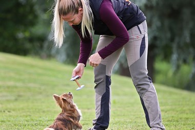 Sa° va¨ljer du ra¨tt valp + Fotograf Privat 1