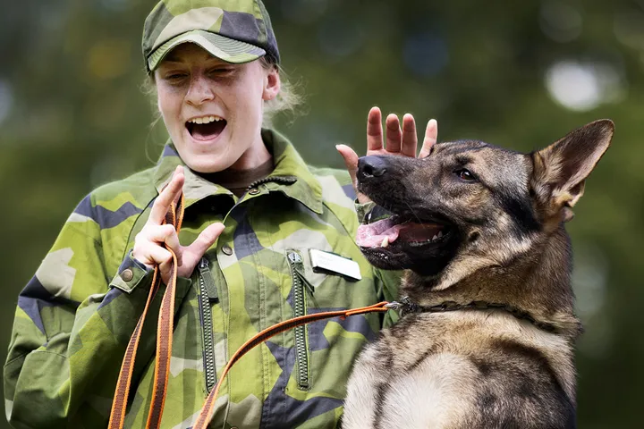 Nya utmaningar pa° steg 3-la¨gret + Fotograf Nils Petter Nilsson 1
