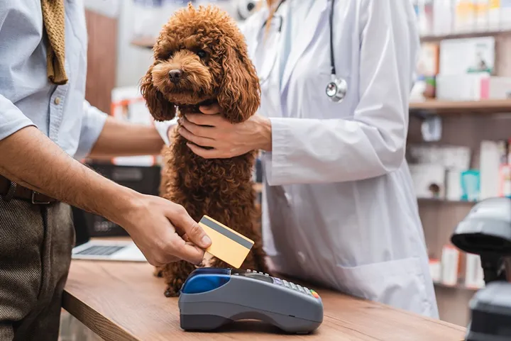 Ny kartläggning av veterinärpriser