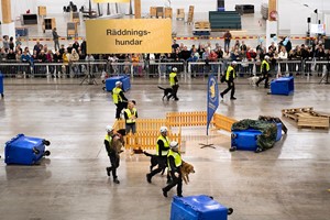 Elmia Hund gjorde succé