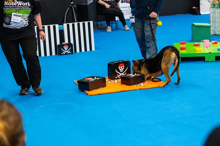 MYDOG 2025 för hundälskare