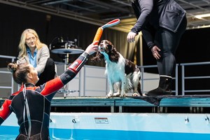 MYDOG 2025 för hundälskare