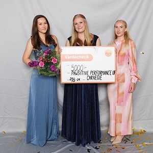 Agilityhinder vann SM-guld