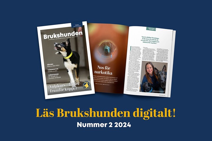 Läs Brukshunden digitalt