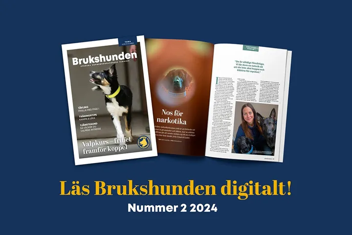 Läs Brukshunden digitalt