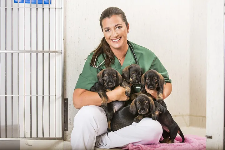 Boktips: ”Så slipper du veterinären”