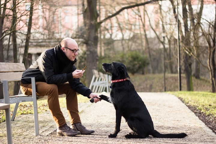 Så kommunicerar du bäst med din hund
