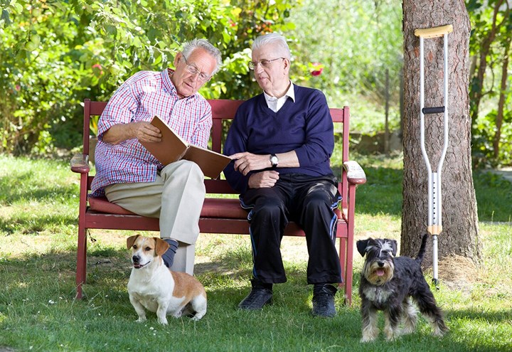 Hundtricket – få fler vänner 