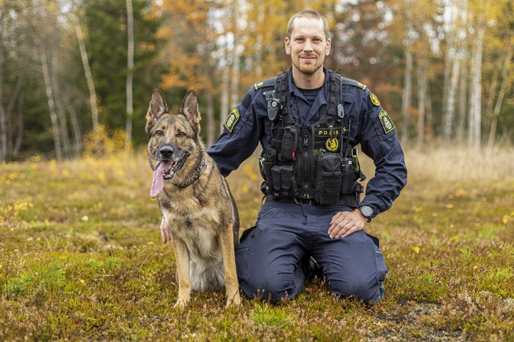 Årets polishund 2022