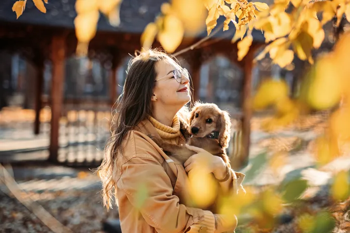 Väljer hund efter personlighet