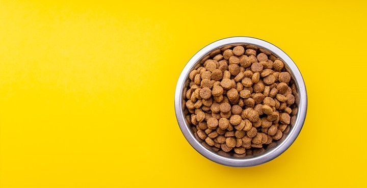 Fakta om foderallergi