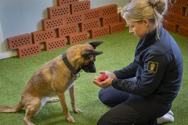 Nos for narkotika + Fotograf Stefan Bohlin1