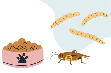 Ha°llbarhet pa° fyra tassar + Fotograf AdobeStock