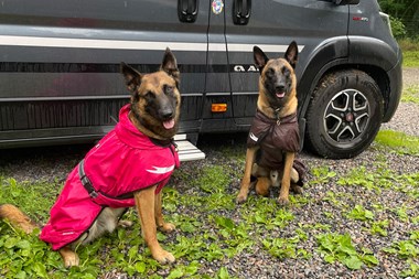 Husbil – ha¨rligt med hund + Fotograf Ewa Jonsson 1