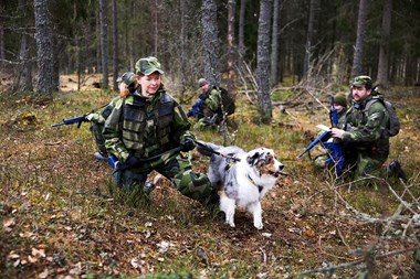 Det a¨r nu det bo¨rjar + Fotograf Nils Petter Nilsson 1