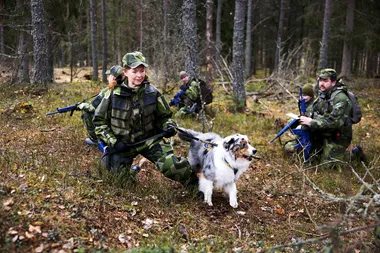 Det a¨r nu det bo¨rjar + Fotograf Nils Petter Nilsson 1