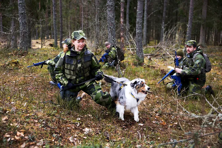 Det a¨r nu det bo¨rjar + Fotograf Nils Petter Nilsson 1