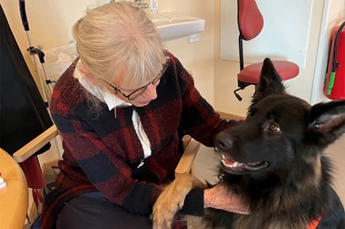 Bozz sprider glädje bland de boende + Fotograf Privat1