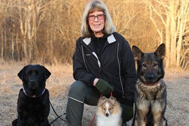 Så väcker du valpens intresse + Fotograf Privat