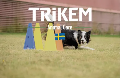 Trikem_SBK_2