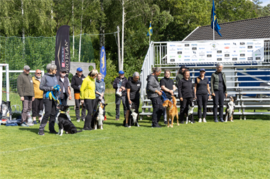 Landslaget