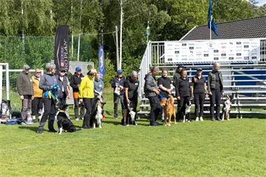 Landslaget