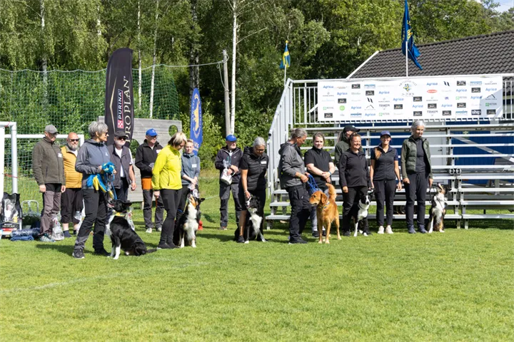 Landslaget