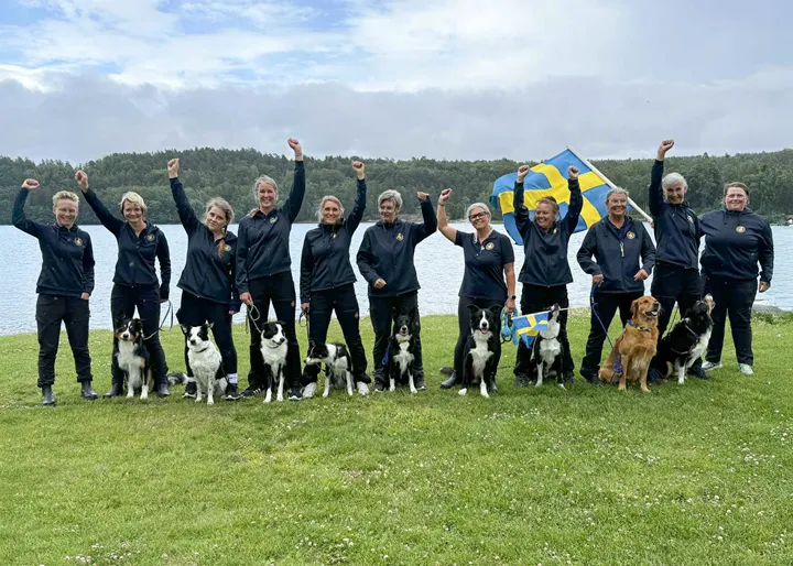 Landslaget lydnadsVM 2025-min