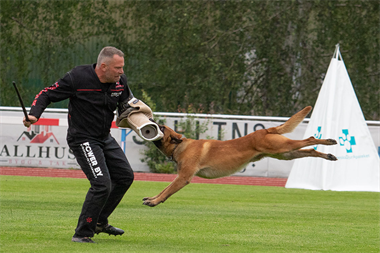 Duke Marenberski Viorel