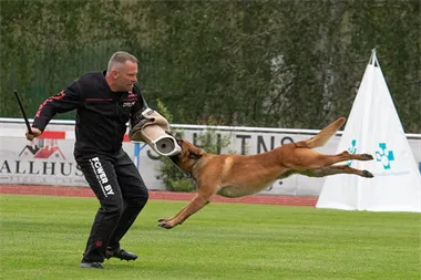 Duke Marenberski Viorel
