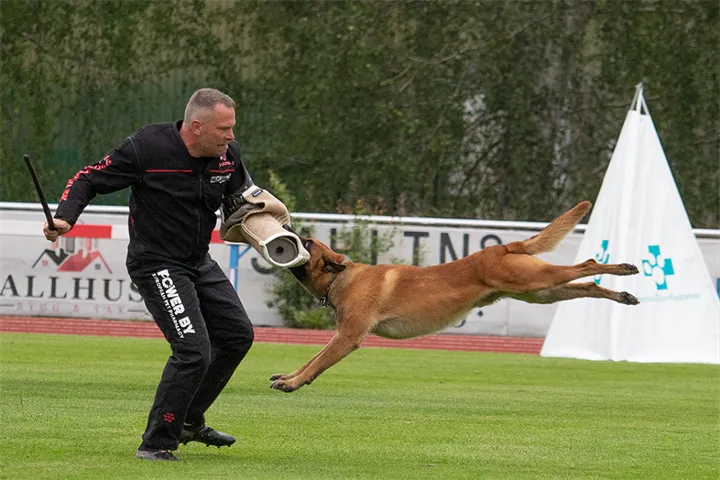 Duke Marenberski Viorel