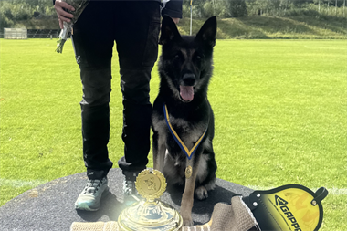 Webbild liggande (2)