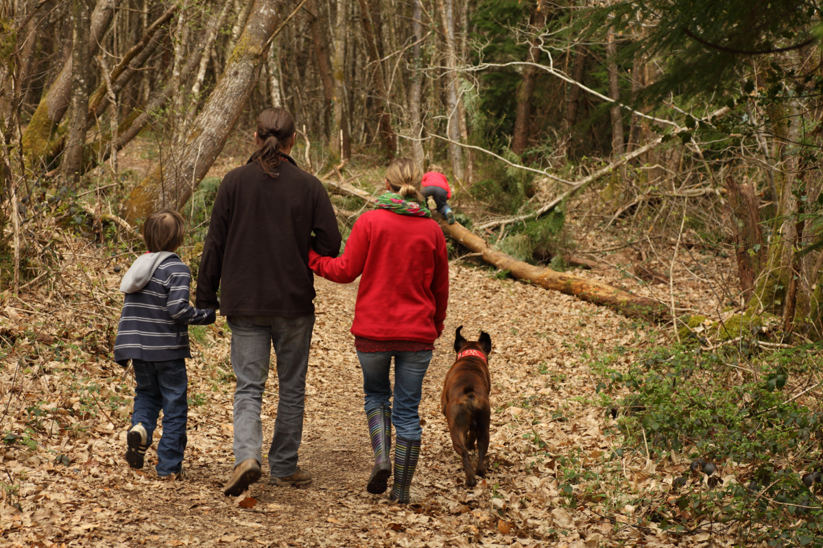 Webbild liggande-3