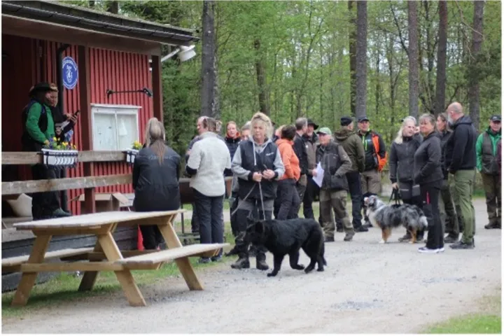 Webbild liggande