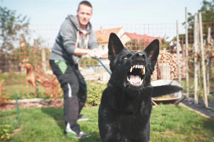 O¨ppningsbild