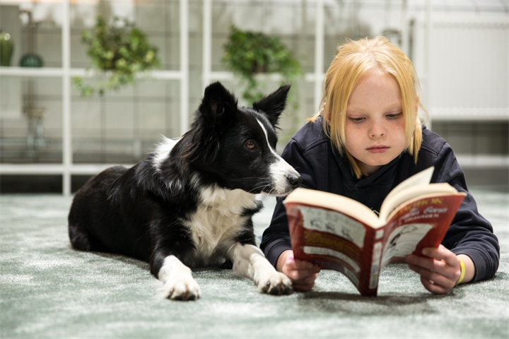 Foto Patrik So¨derman