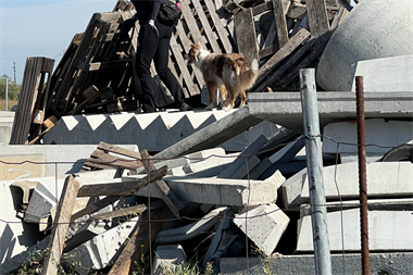 Webbild liggande (1)