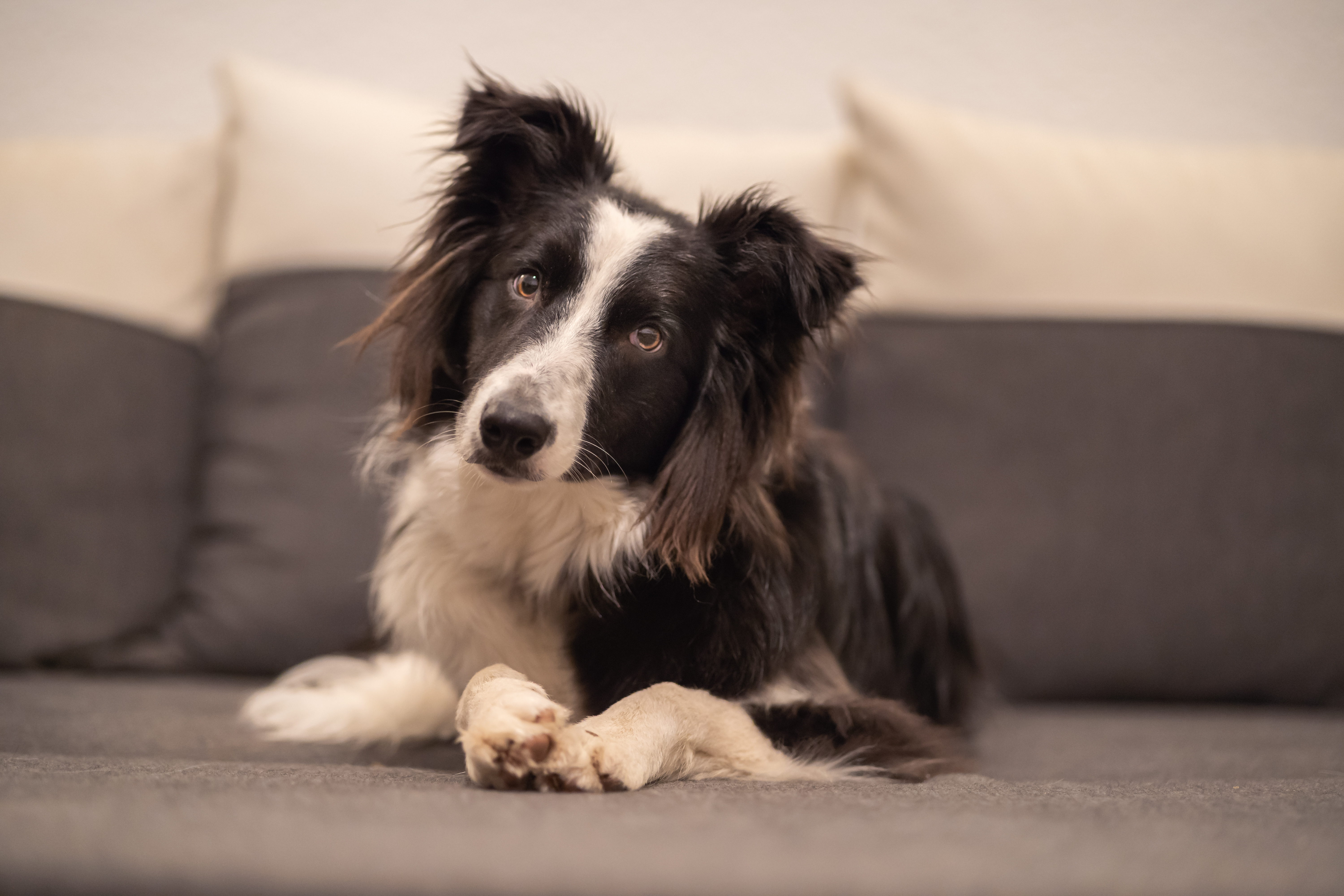 AdobeStock_407084507