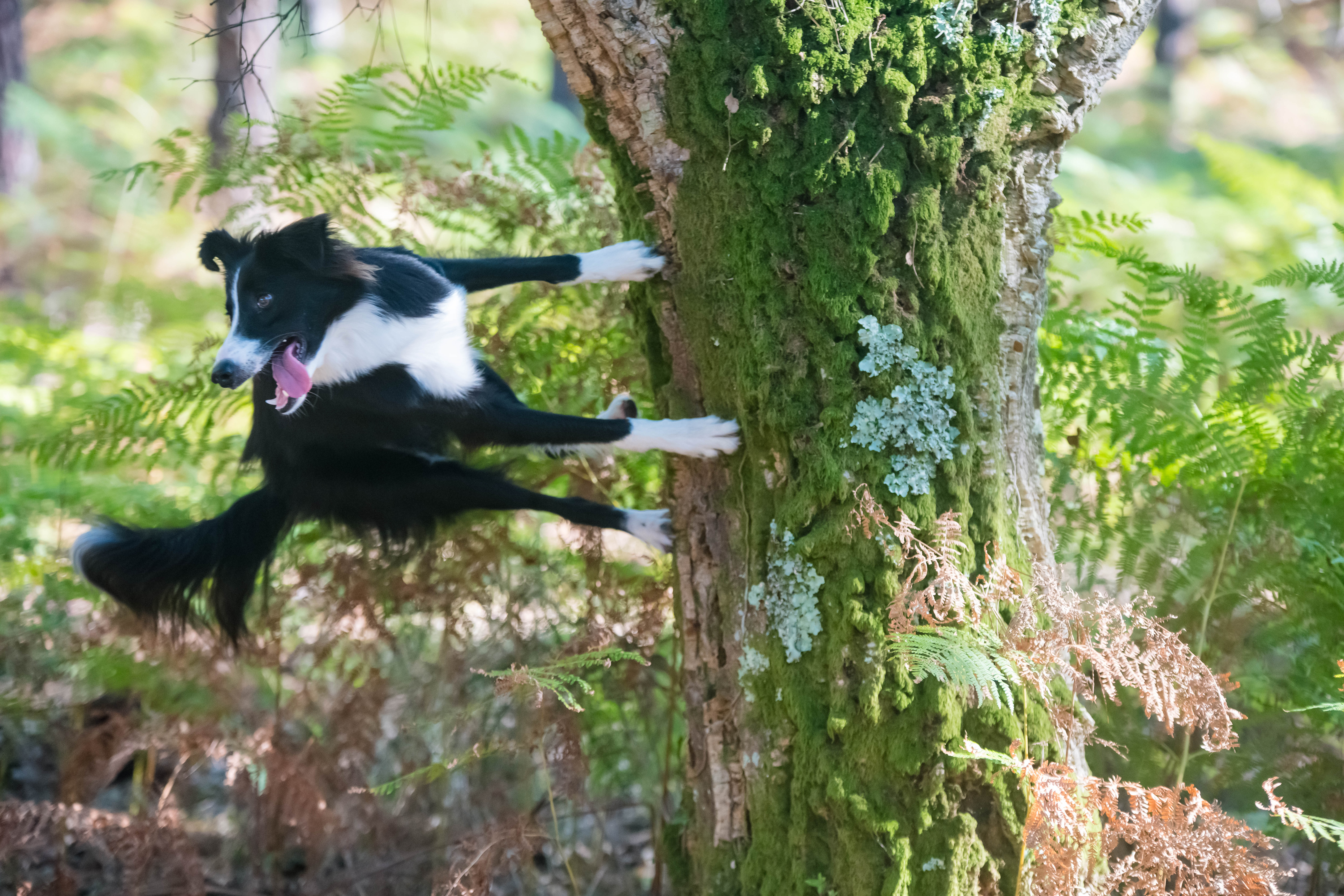 AdobeStock_660256320