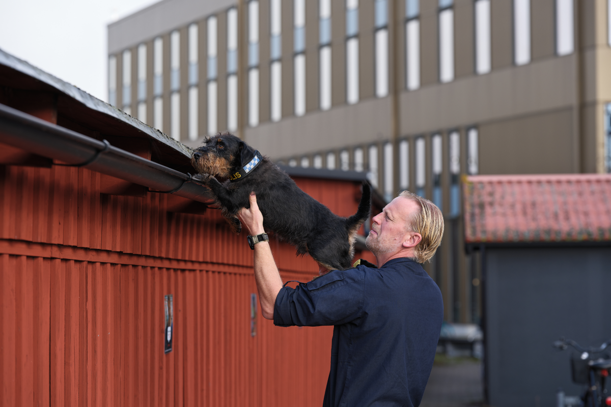 Foto Daniel Persson