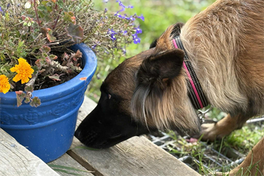 Webbild liggande (kopia)