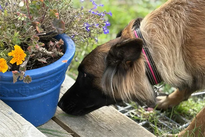 Webbild liggande (kopia)