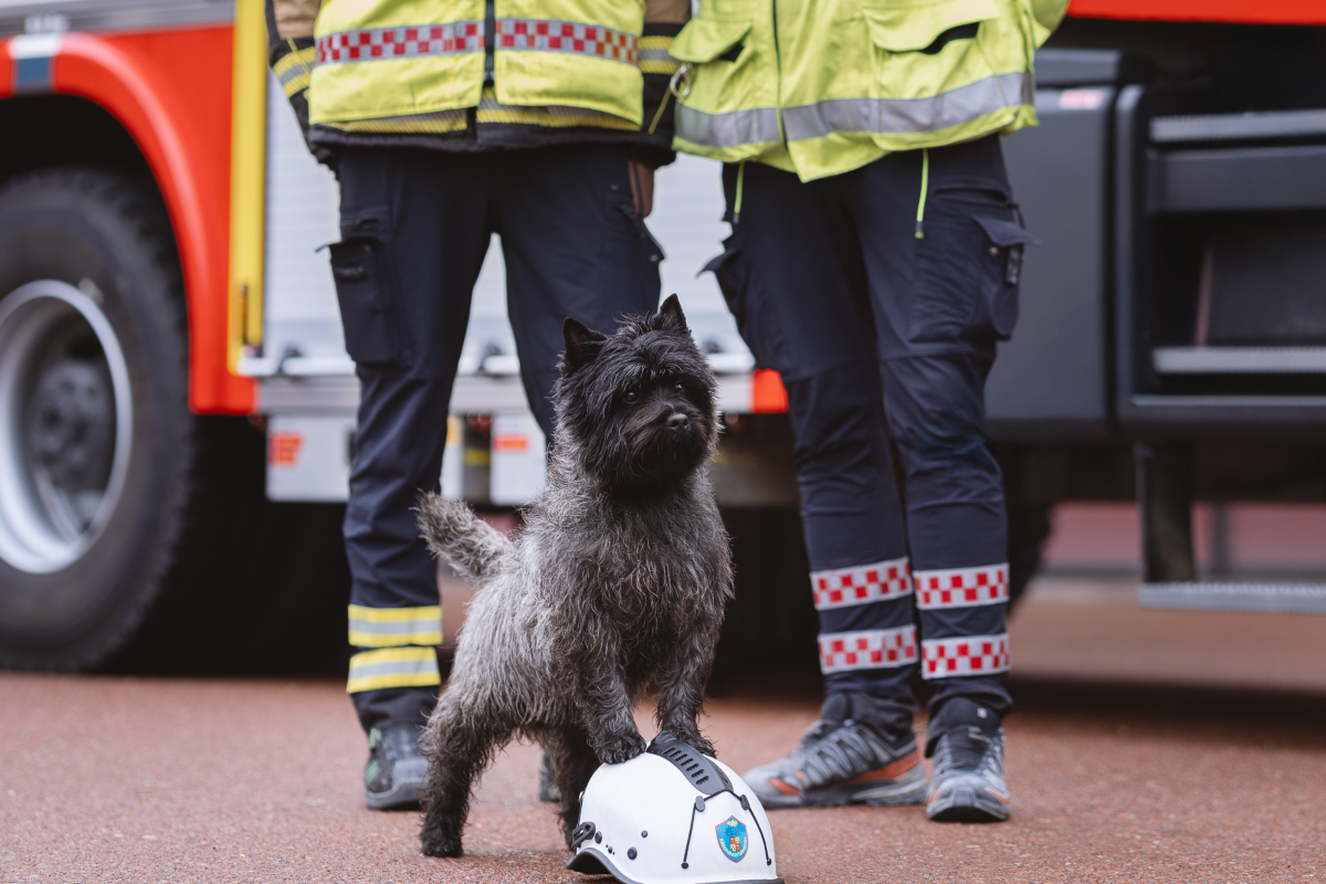 Fotograf Jessica Olse´n 